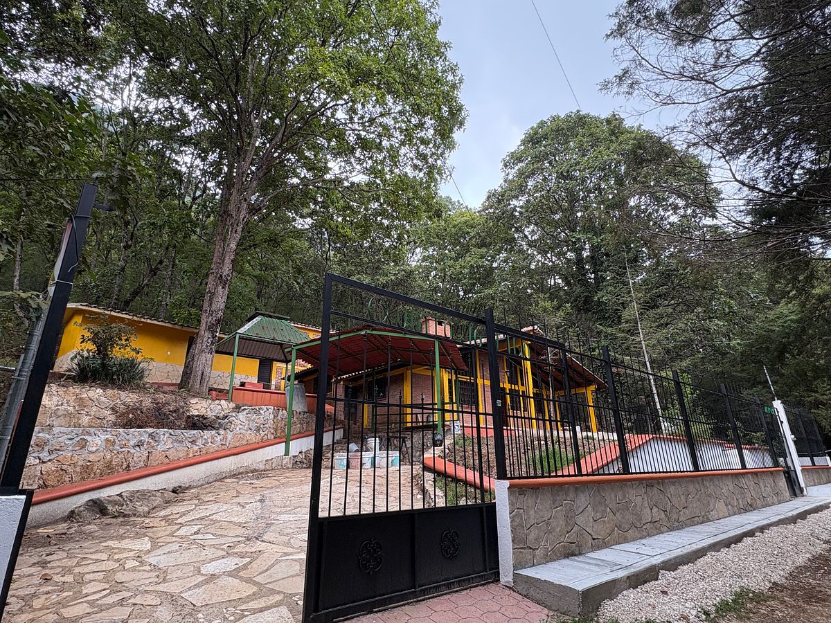 Casa tipo Cabaña rodeada de vegetación dentro de la ciudad, foto 1 de 19