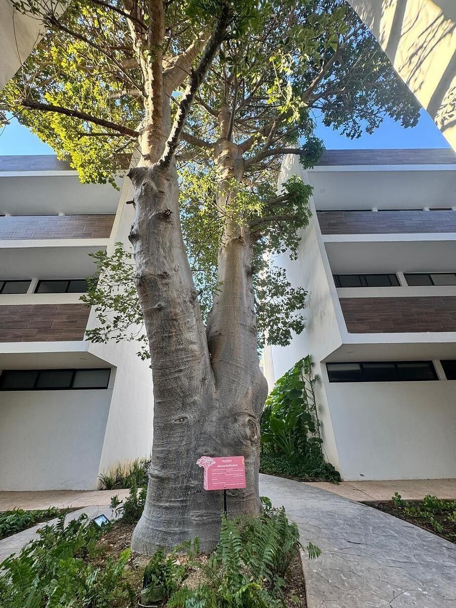 Departamento en Dzityá, Mérida, foto 13 de 36