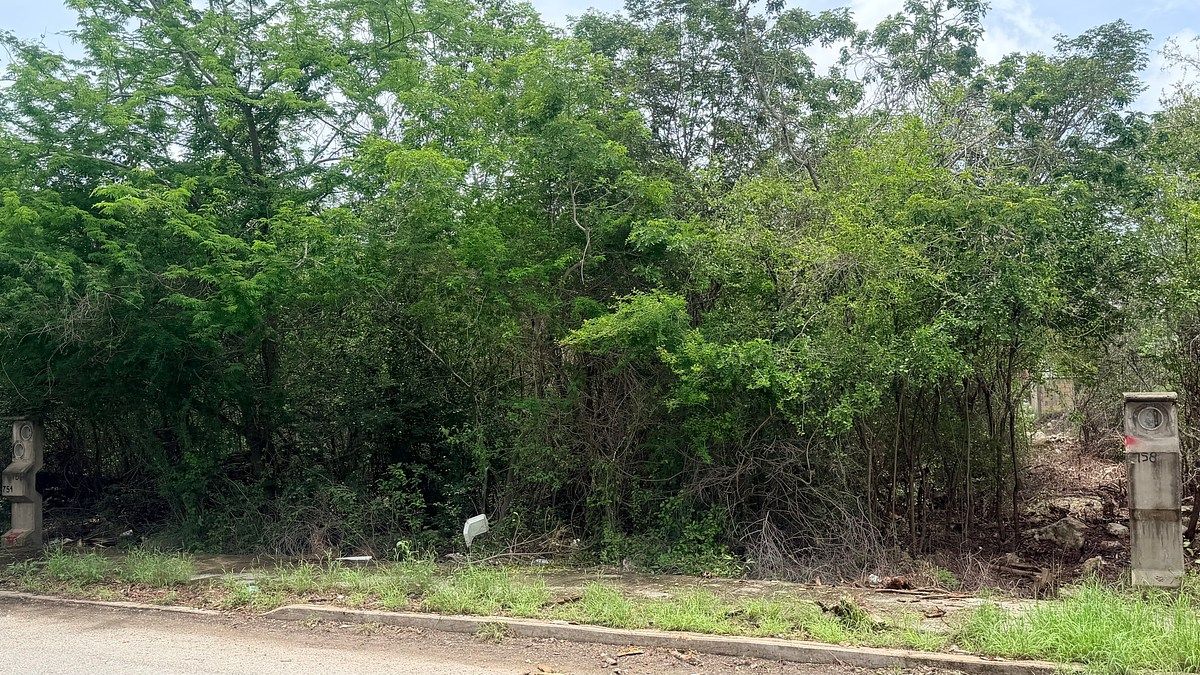 Terreno en Real Montejo, Mérida, foto 3 de 8
