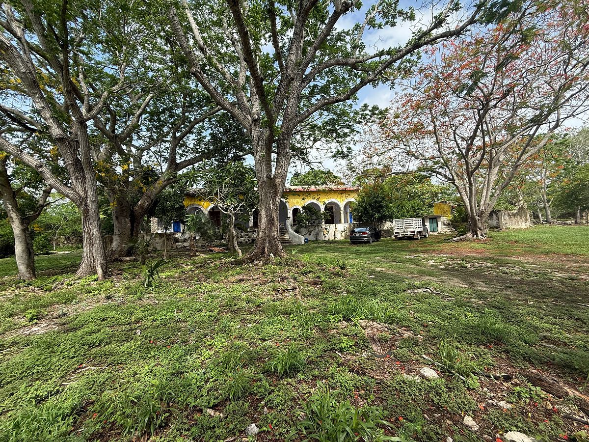 Lote em Izamal, Izamal, foto 18 de 35