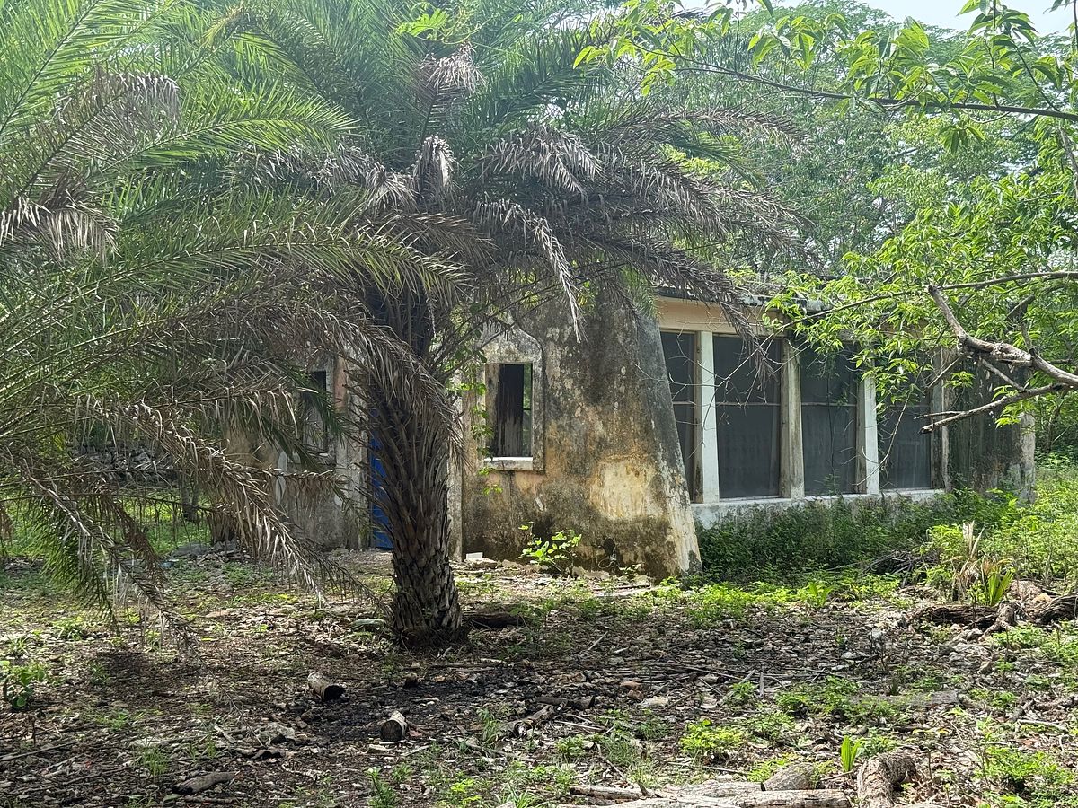 Lote em Izamal, Izamal, foto 23 de 35
