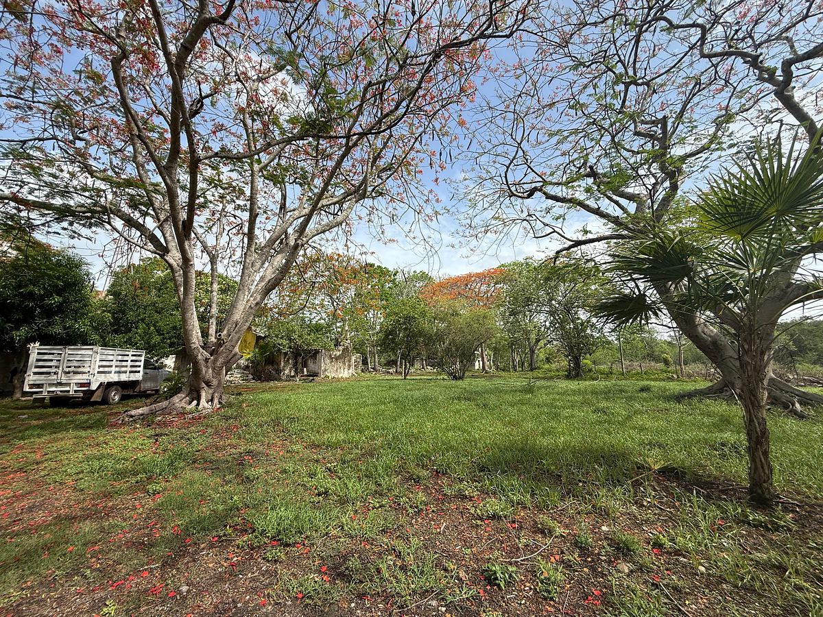 Lote em Izamal, Izamal, foto 21 de 35