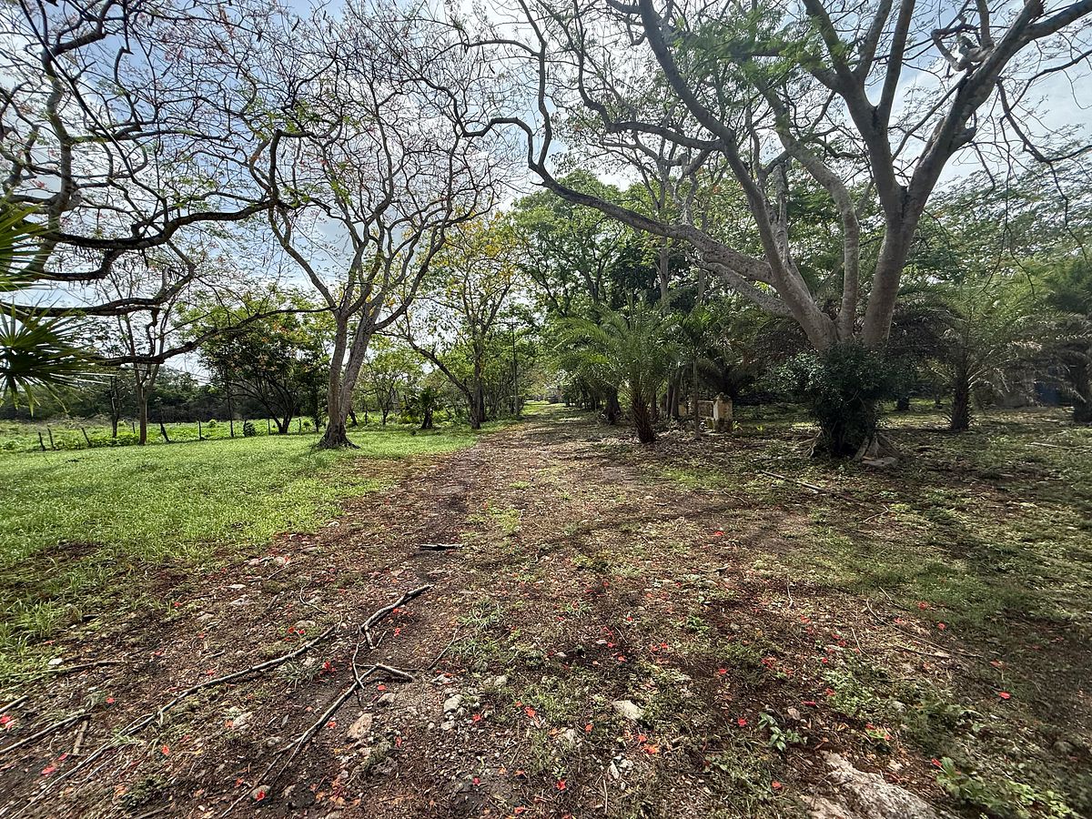 Lote em Izamal, Izamal, foto 25 de 35