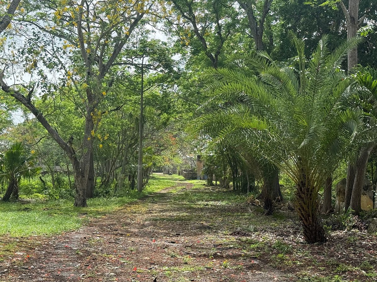 Lote em Izamal, Izamal, foto 26 de 35