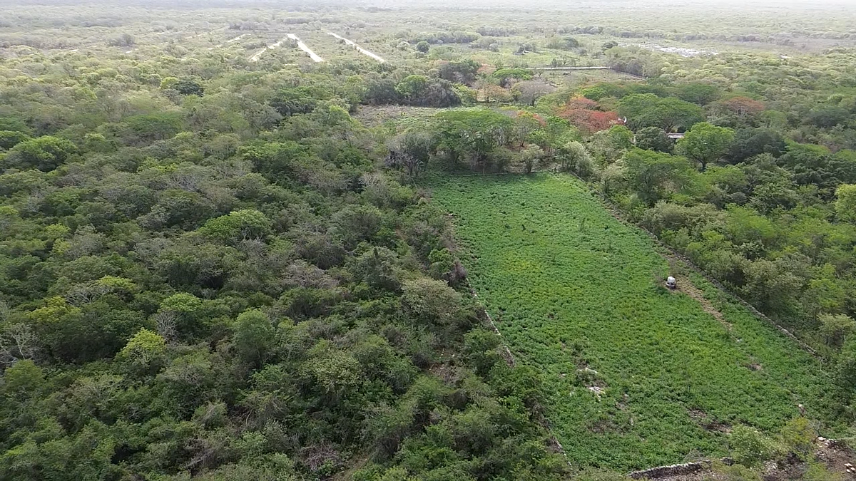 Lote em Izamal, Izamal, foto 31 de 35
