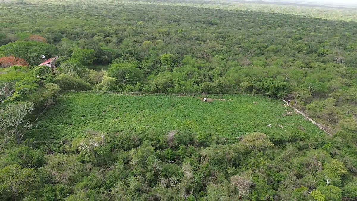 Lote em Izamal, Izamal, foto 32 de 35