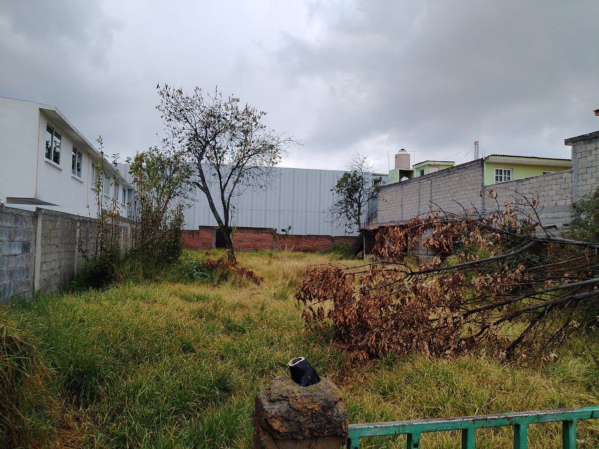 Lot in San Miguel Zinacantepec, Zinacantepec, photo 3 of 4