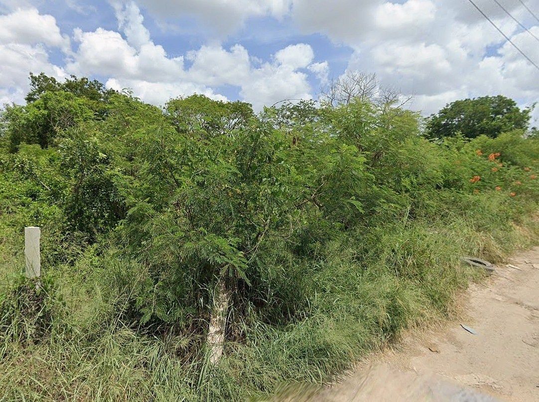 Terreno en Real Montejo, Mérida, foto 4 de 5