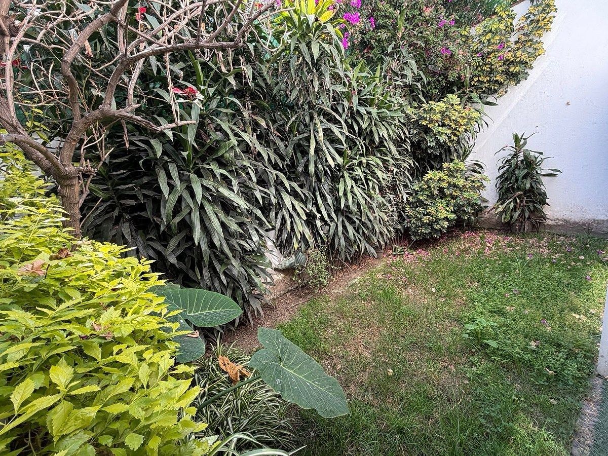 Casa em Del Valle Centro, Benito Juárez, foto 10 de 25