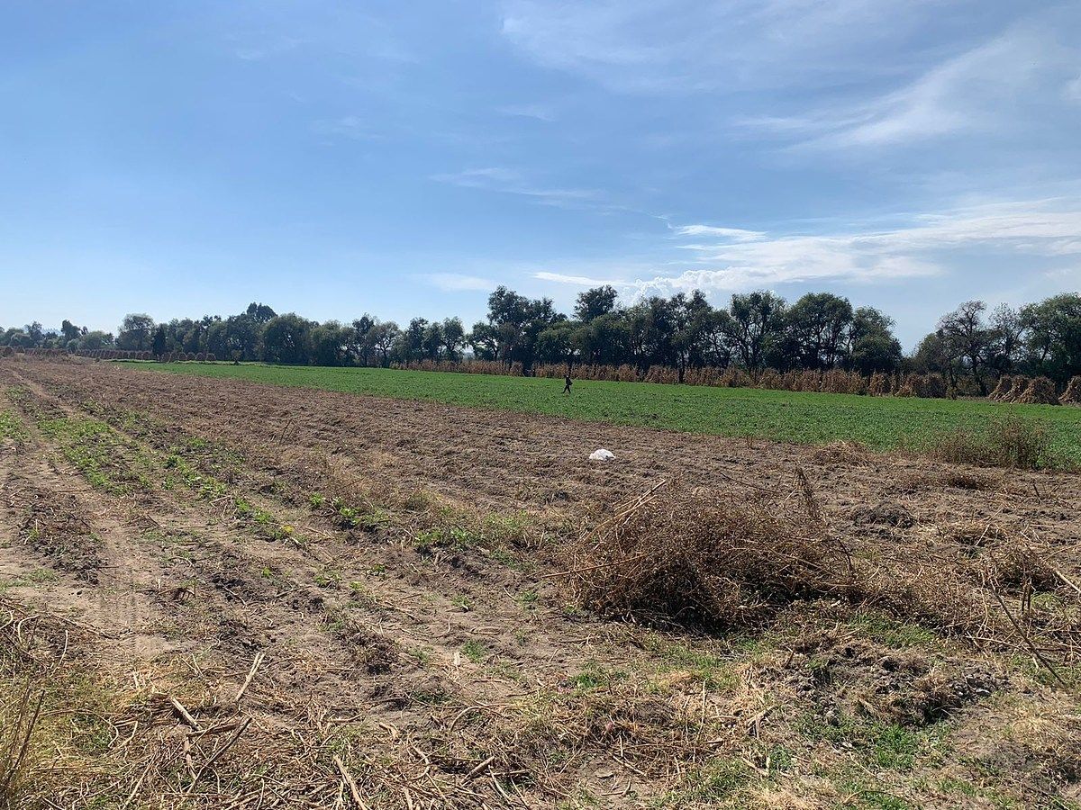 ¡Excelente Terreno en Venta en San Miguel Xoxtla!, foto 1 de 10