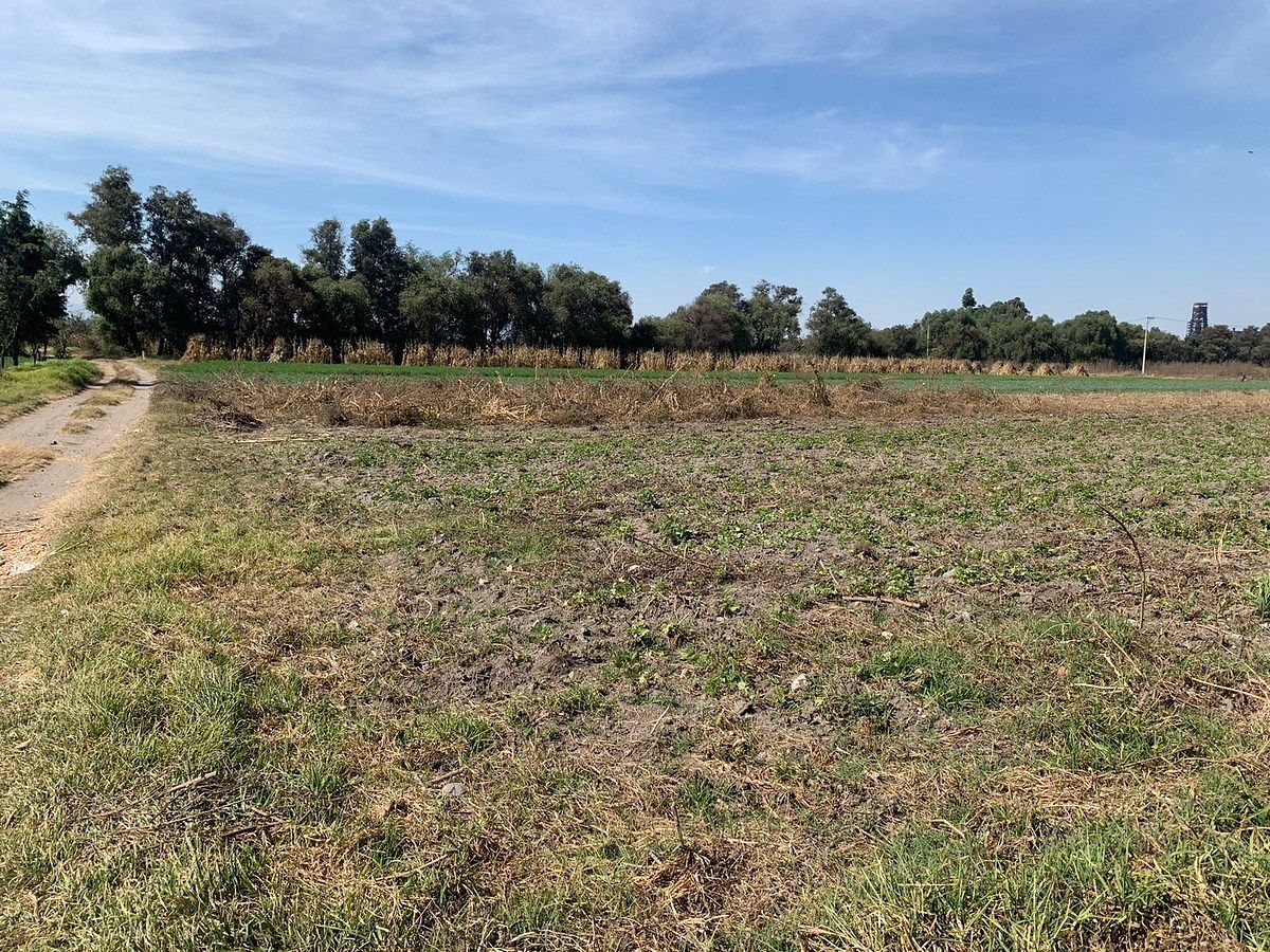 Lote em San Miguel, Puebla, foto 5 de 10