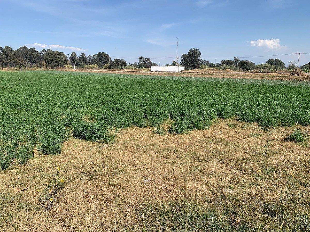 Lote em San Miguel, Puebla, foto 7 de 10