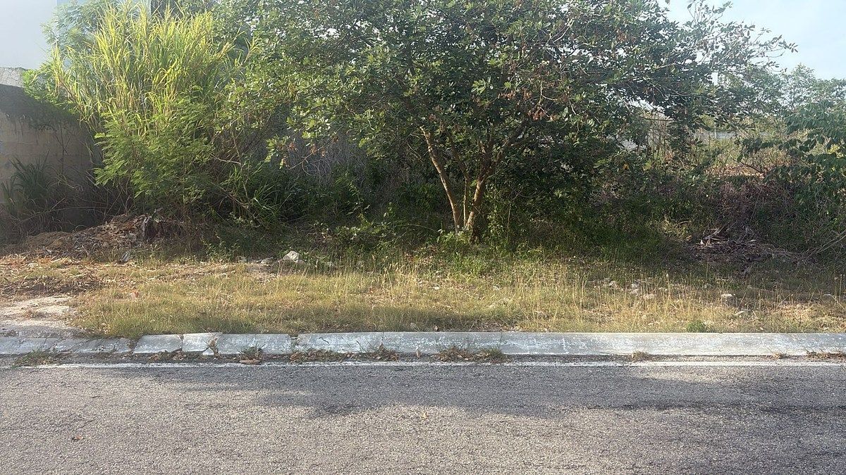 Lot in Temozón Norte, Mérida, photo 3 of 4
