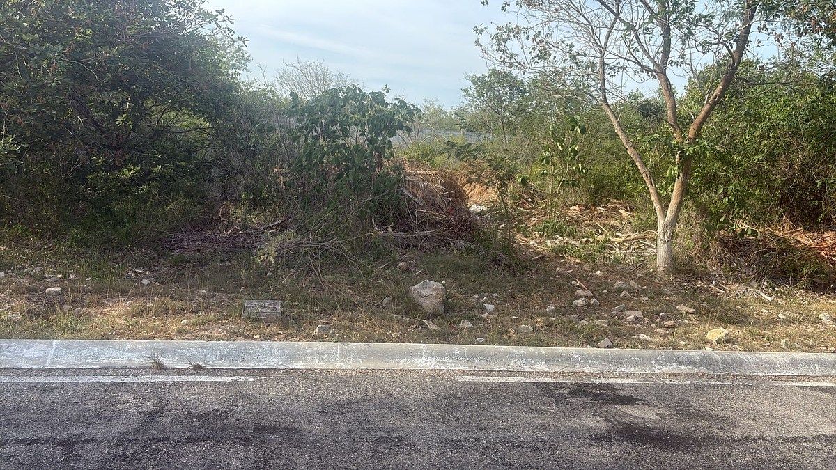 Lot in Temozón Norte, Mérida, photo 2 of 4