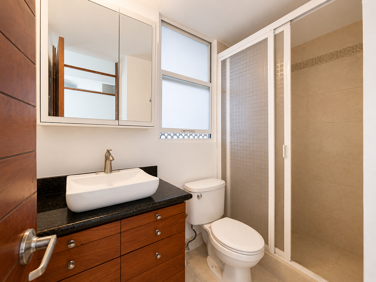 Apartment in Del Valle Norte, Benito Juárez, photo 12 of 13