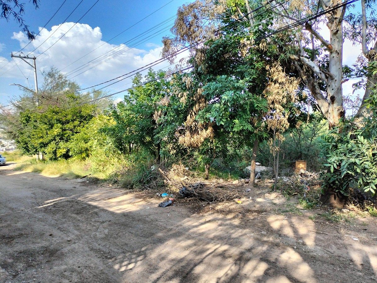 Terreno en El Retoño, El Llano, foto 3 de 13