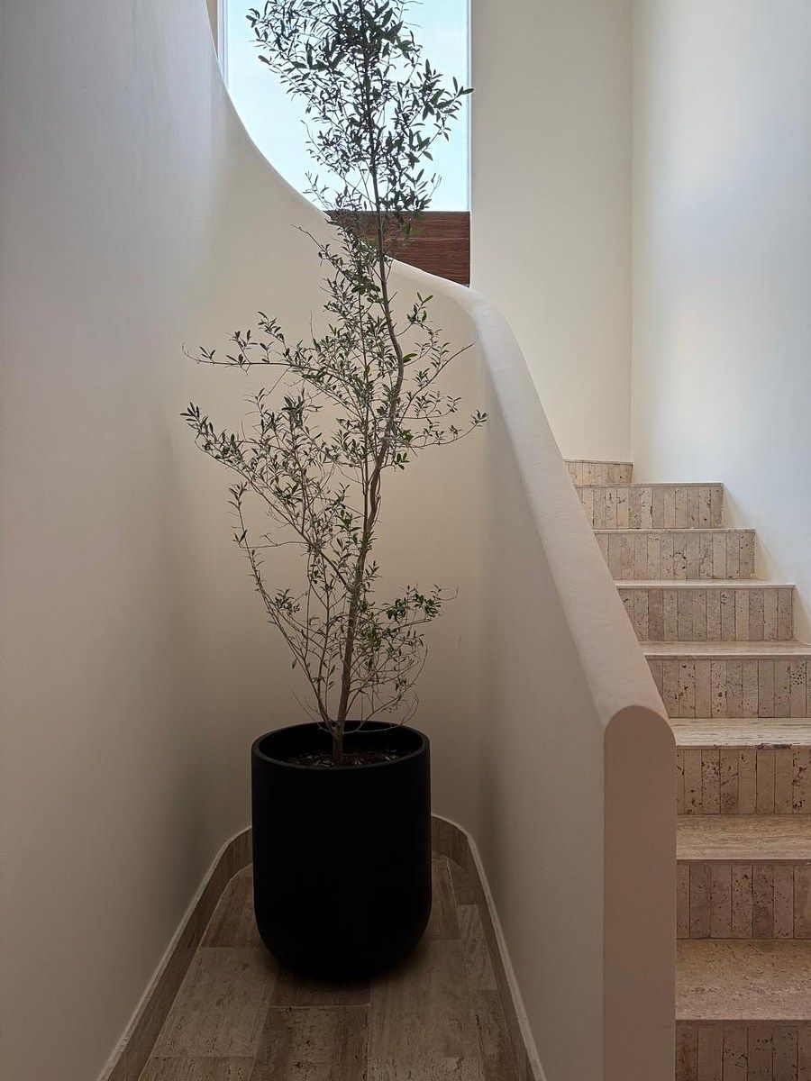 House in Gated Community in Lagos del Sol, Benito Juárez, photo 25 of 34