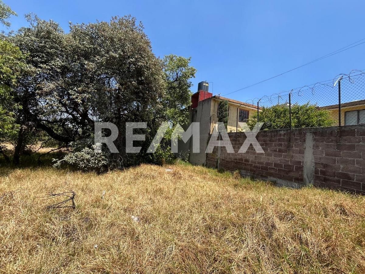 Terreno en Santa Cruz Chavarrieta, Xochimilco, foto 6 de 6
