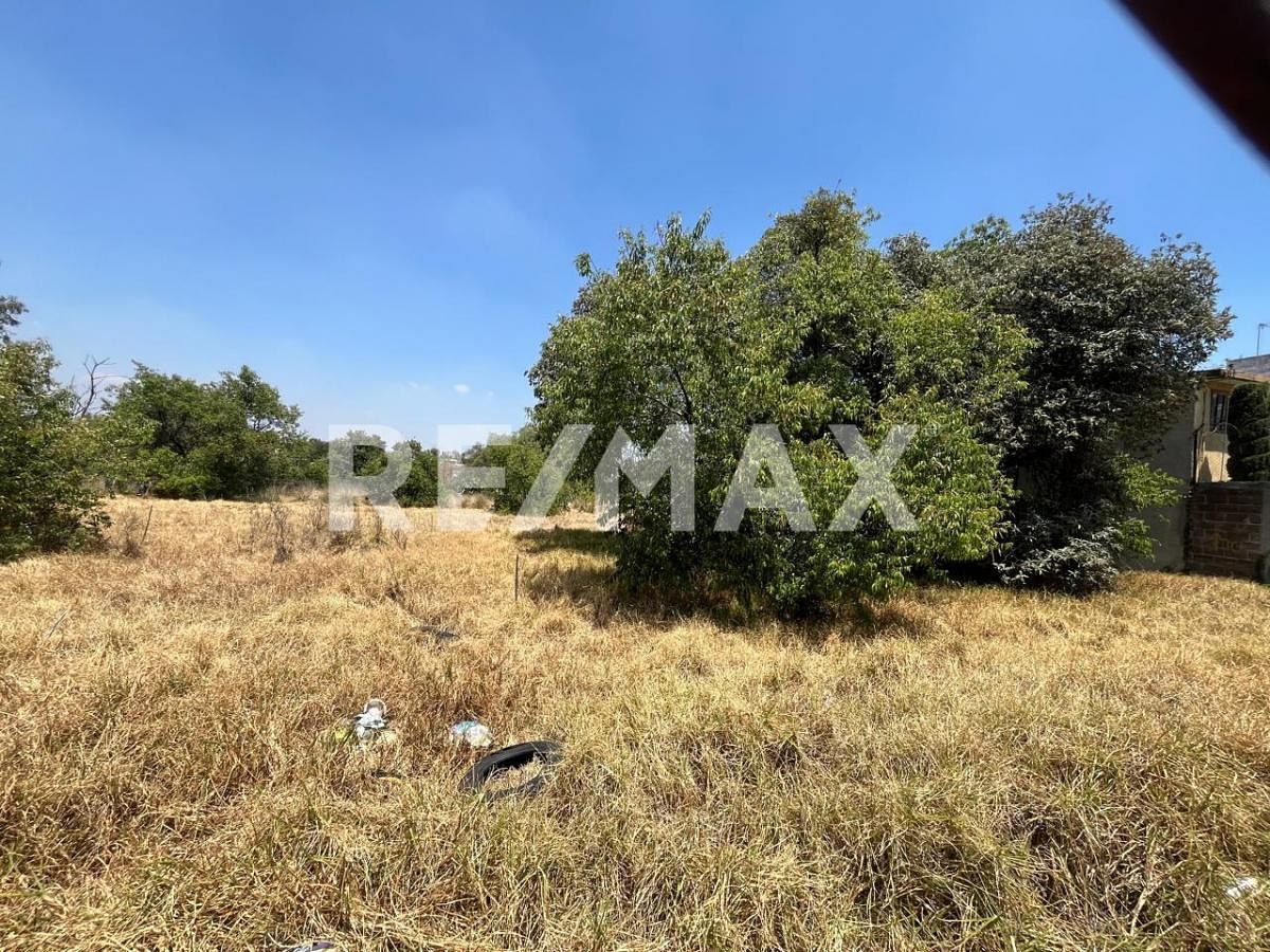 Lote em Santa Cruz Chavarrieta, Xochimilco, foto 5 de 6