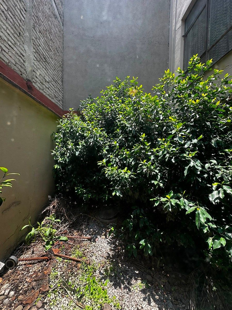 Casa em Lindavista Sur, Gustavo A. Madero, foto 10 de 18