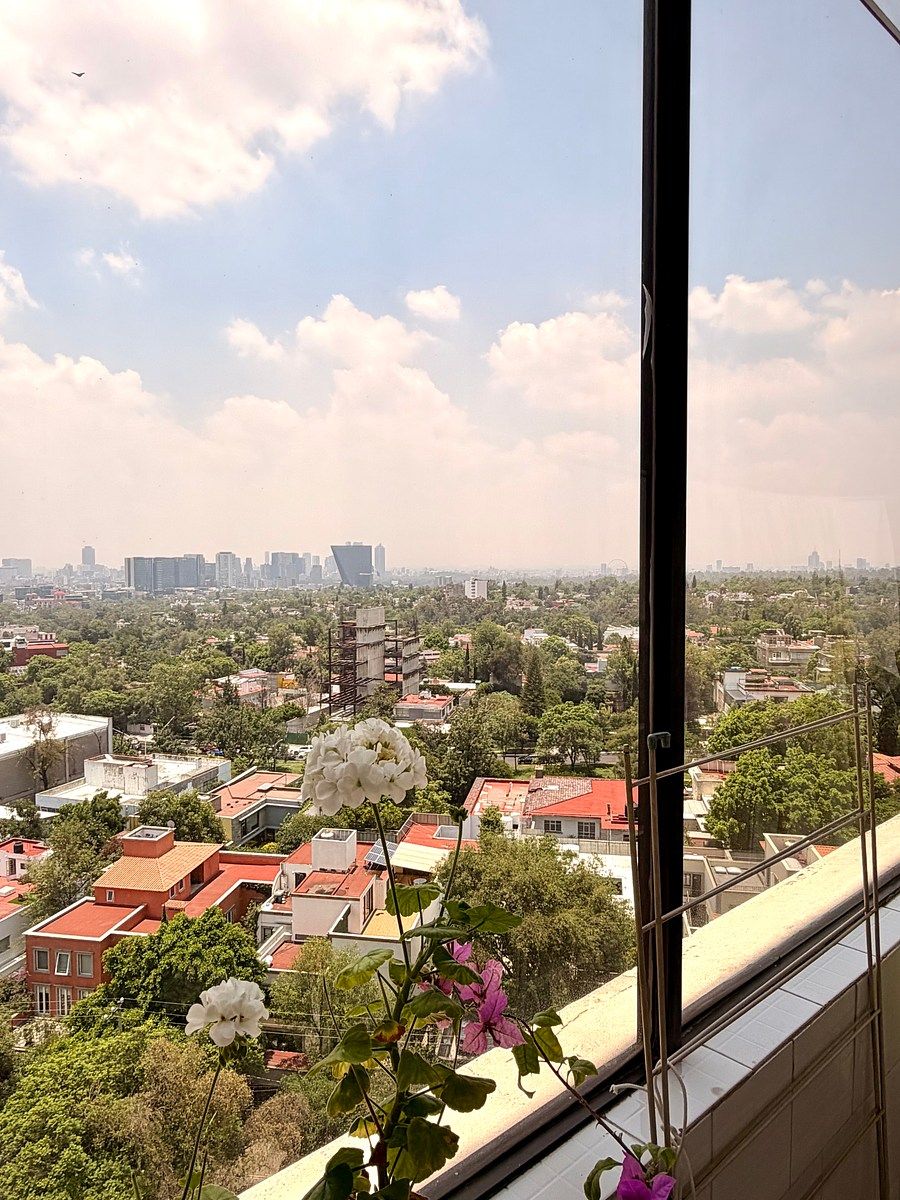 Apartamento em Lomas de Chapultepec VIII Sección, Miguel Hidalgo, foto 25 de 30