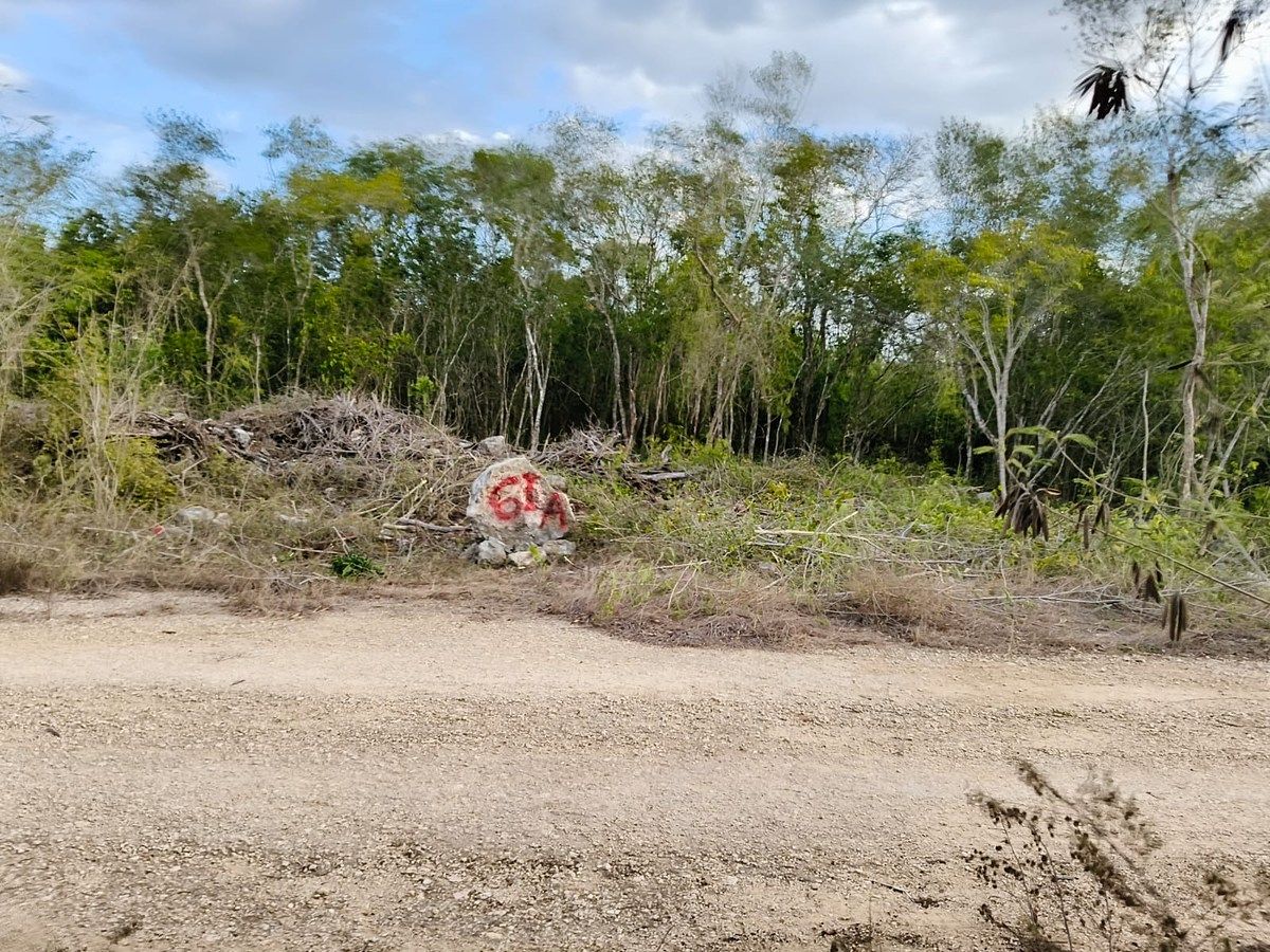 Terreno en San Ignacio, Progreso, foto 2 de 5