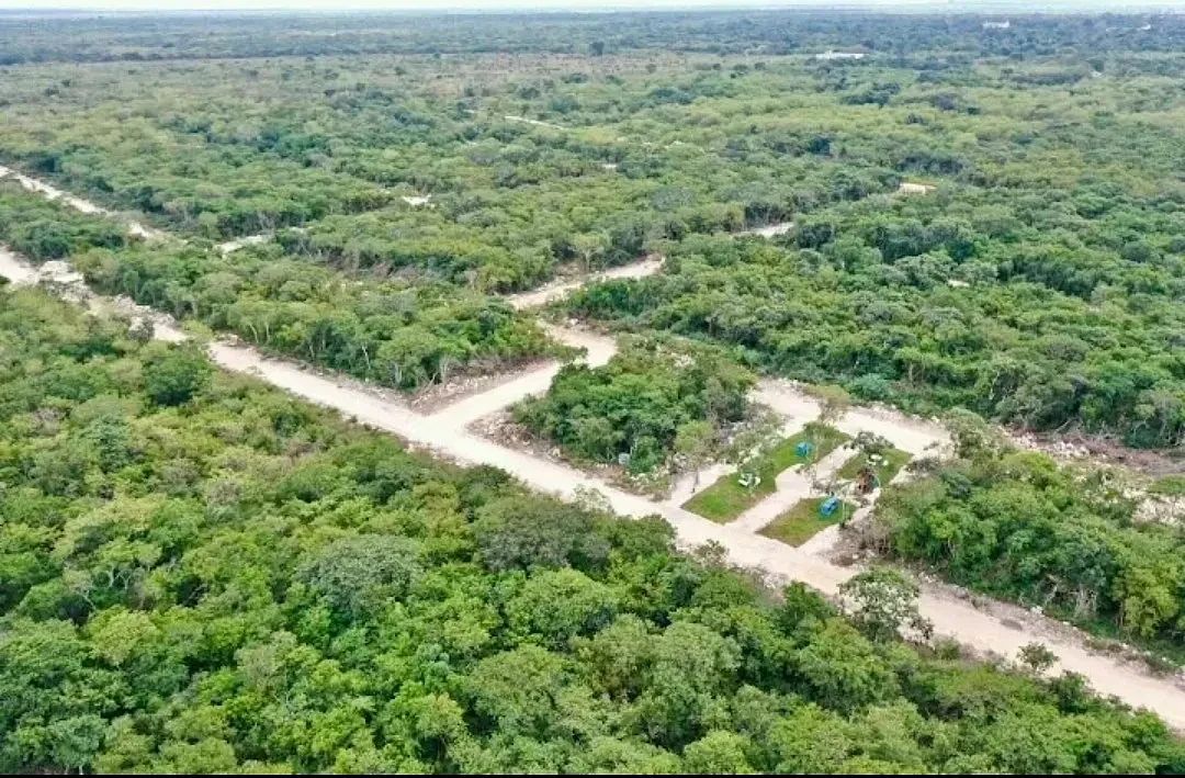 EN VENTA TERRENO PARA ENTREGA INMEDIATA EN YOBAIN, YUCATÁN, foto 1 de 6