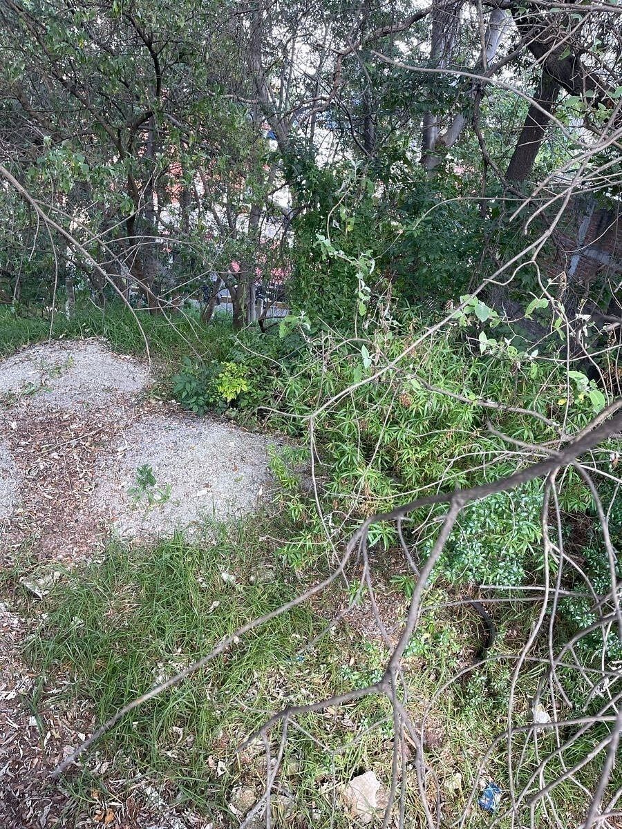 Terreno en Cuajimalpa, Cuajimalpa de Morelos, foto 4 de 15
