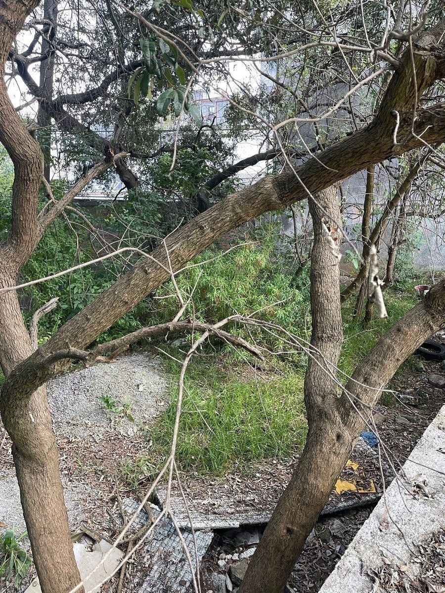 Terreno en Cuajimalpa, Cuajimalpa de Morelos, foto 12 de 15