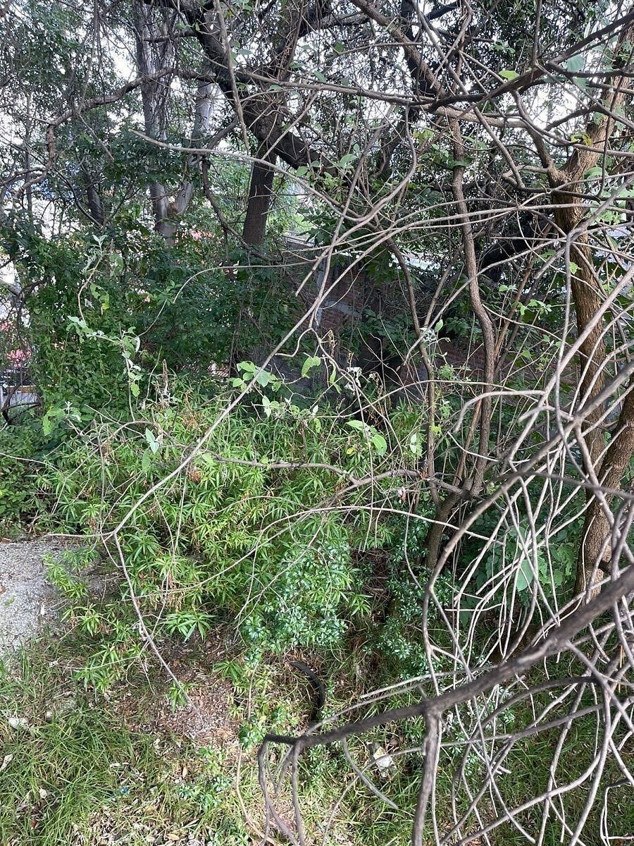 Terreno en Cuajimalpa, Cuajimalpa de Morelos, foto 14 de 15