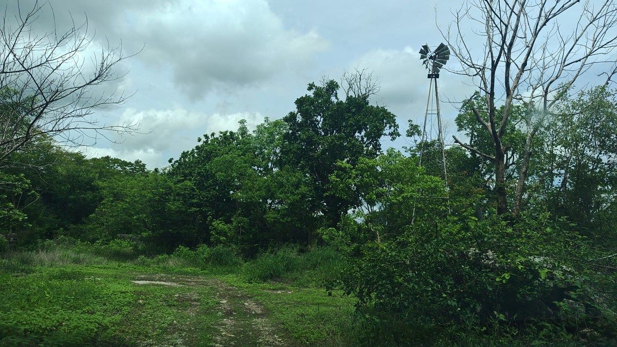 Lote em Ucu, Ucú, foto 13 de 13