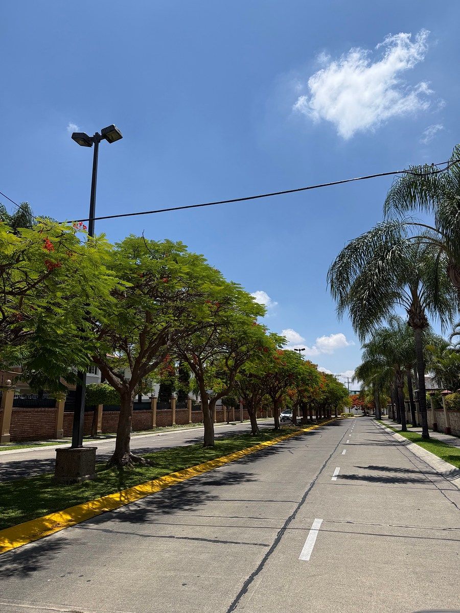 Terreno en Cumbres, Zapopan, foto 4 de 20