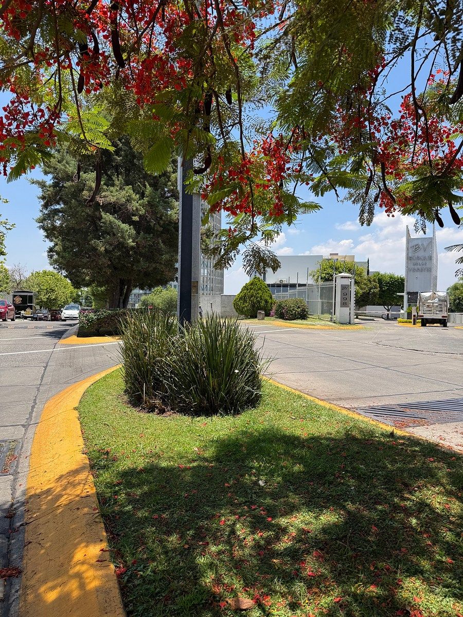 Terreno en Cumbres, Zapopan, foto 20 de 20