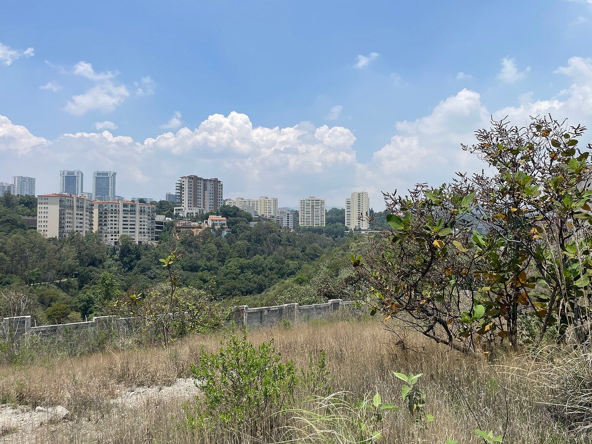 Venta terreno en bosque real, foto 1 de 8