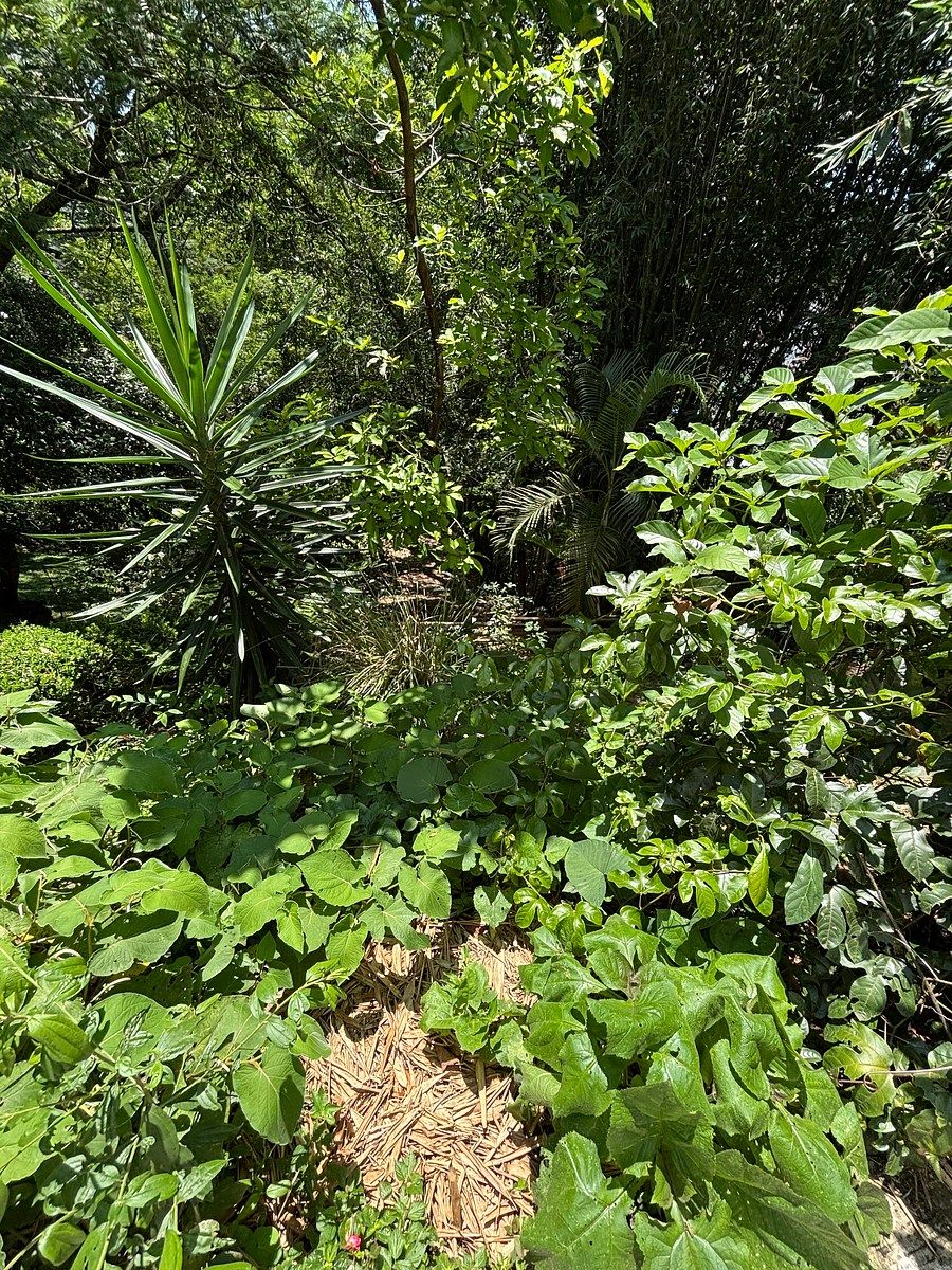 House in Emiliano Zapata, Xalapa, photo 7 of 39