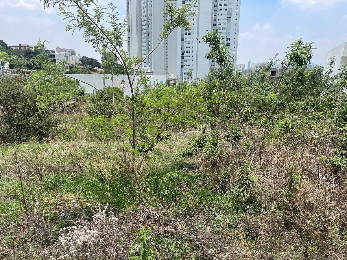 Lote em Bosque Real, Huixquilucan, foto 4 de 8