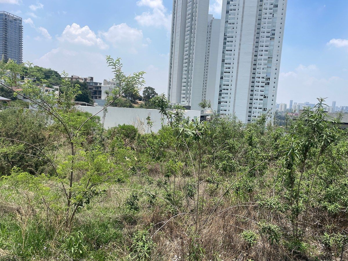 Lote em Bosque Real, Huixquilucan, foto 8 de 8