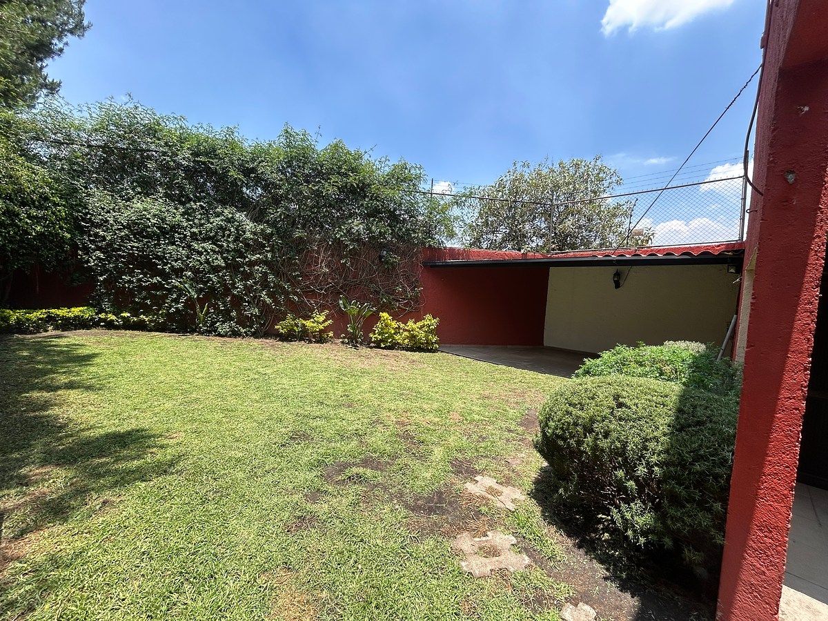 Jardín con palapa, foto 17 de 43