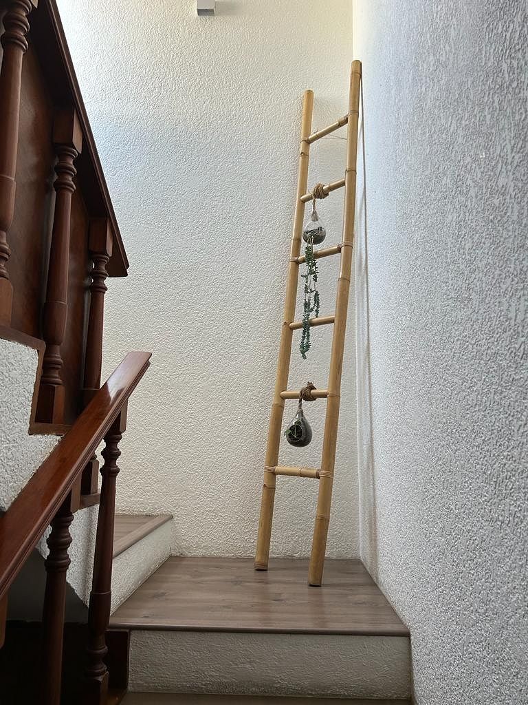 House in Flor de Maria, Álvaro Obregón, photo 10 of 17