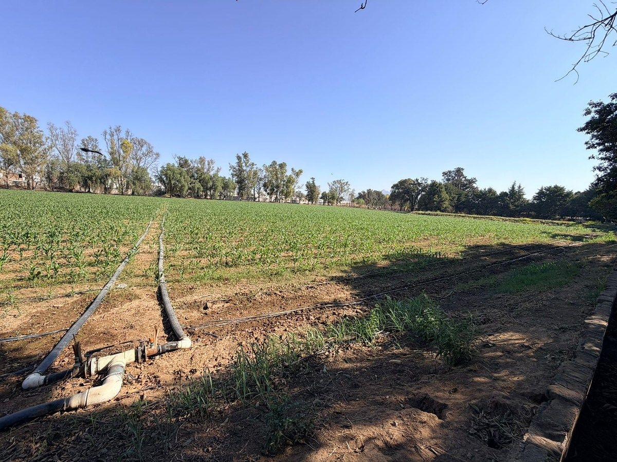Terreno agrícola venta Silao, foto 1 de 3