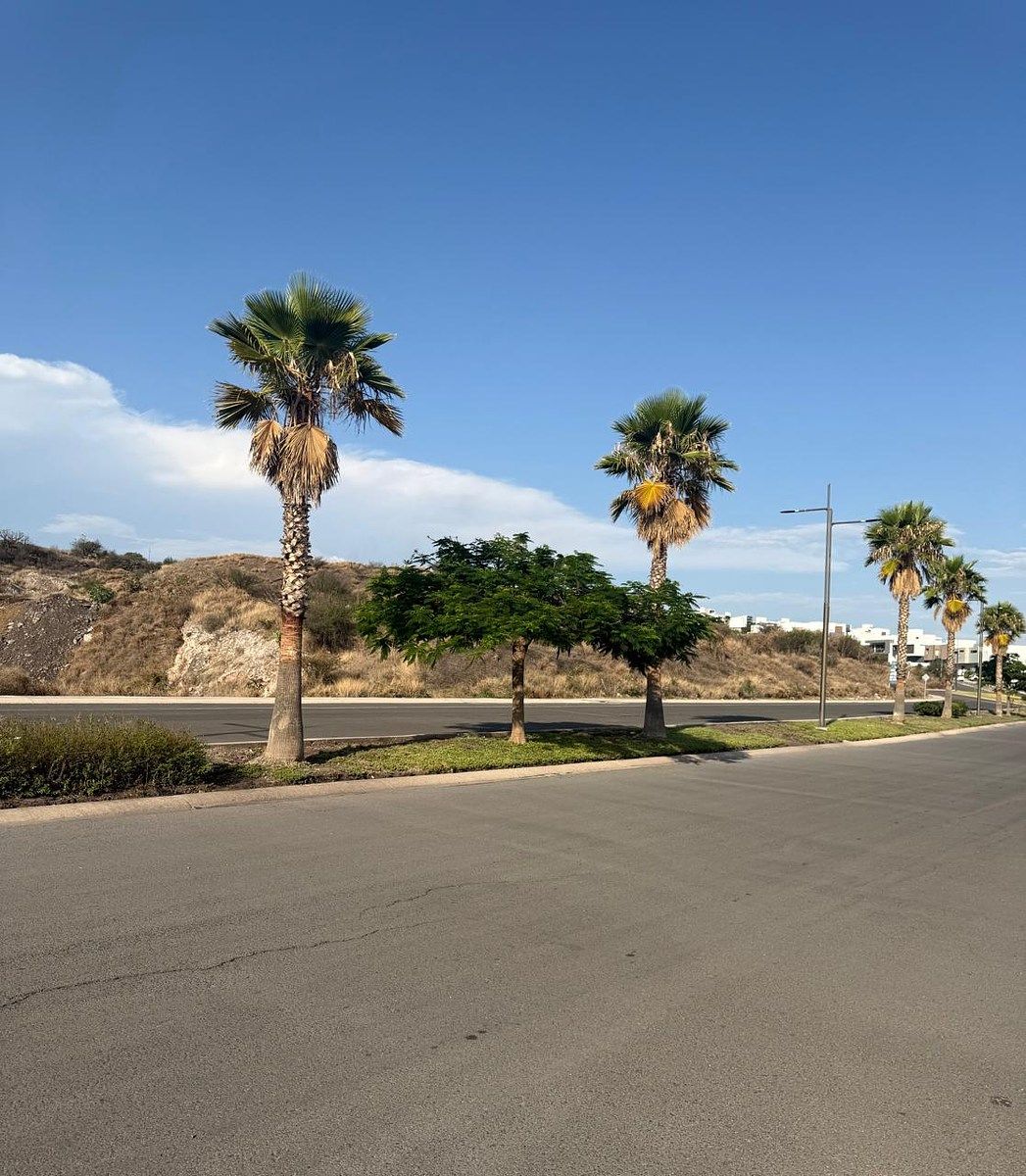 Lote em Lomas de Juriquilla, Querétaro, foto 10 de 13