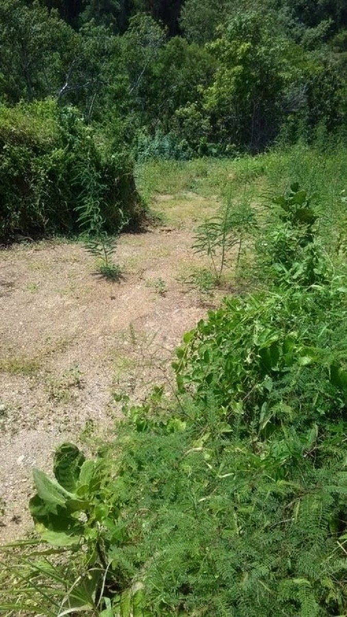 Terreno en Mazunte, Santa María Tonameca, foto 6 de 10