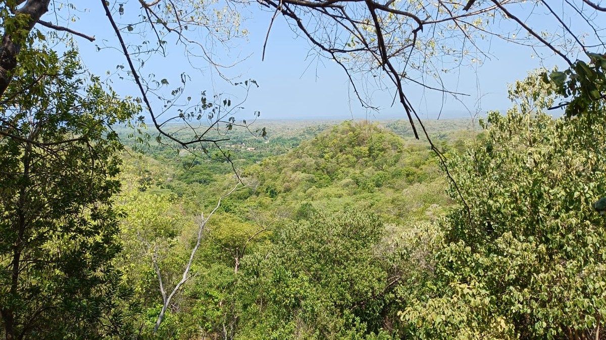 Terreno en Mazunte, Santa María Tonameca, foto 3 de 10