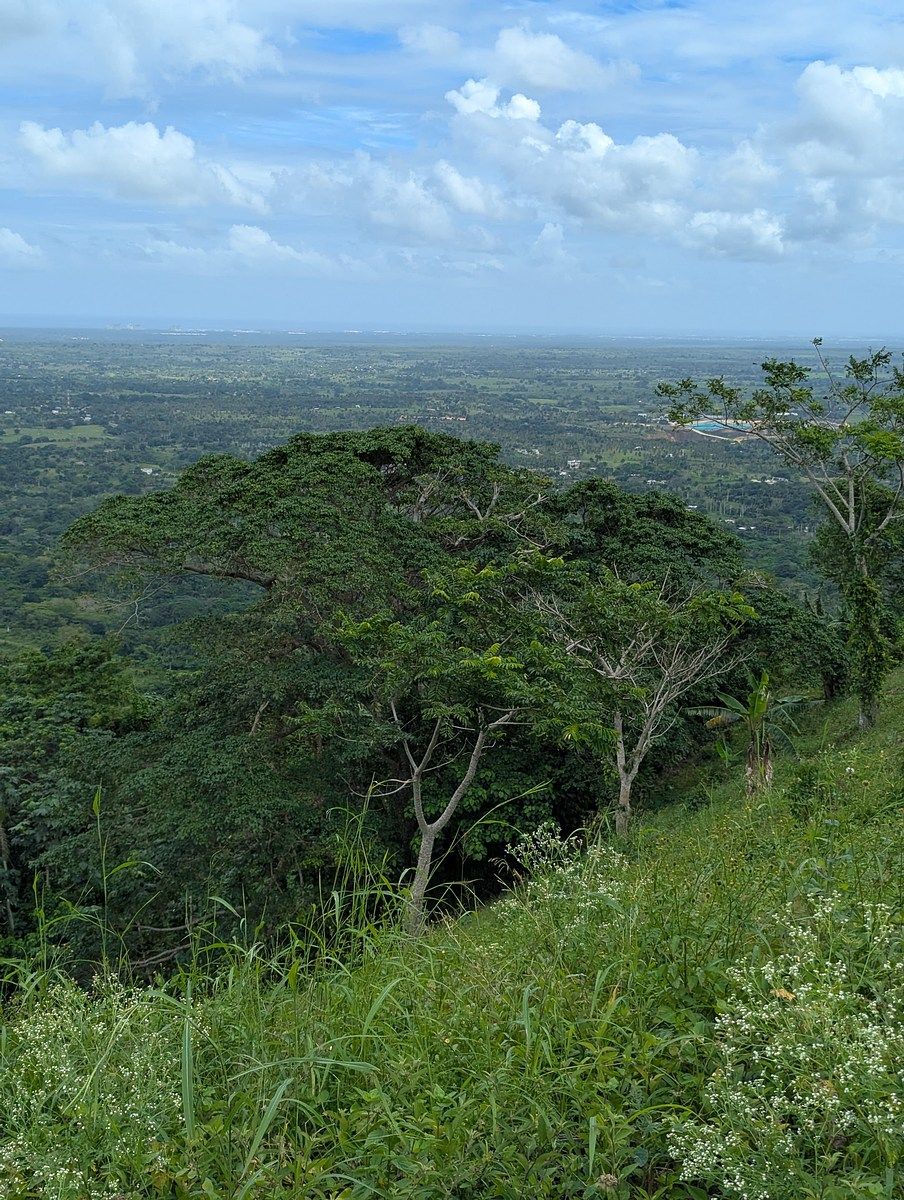 Terreno en Higüey, Higüey, foto 3 de 5