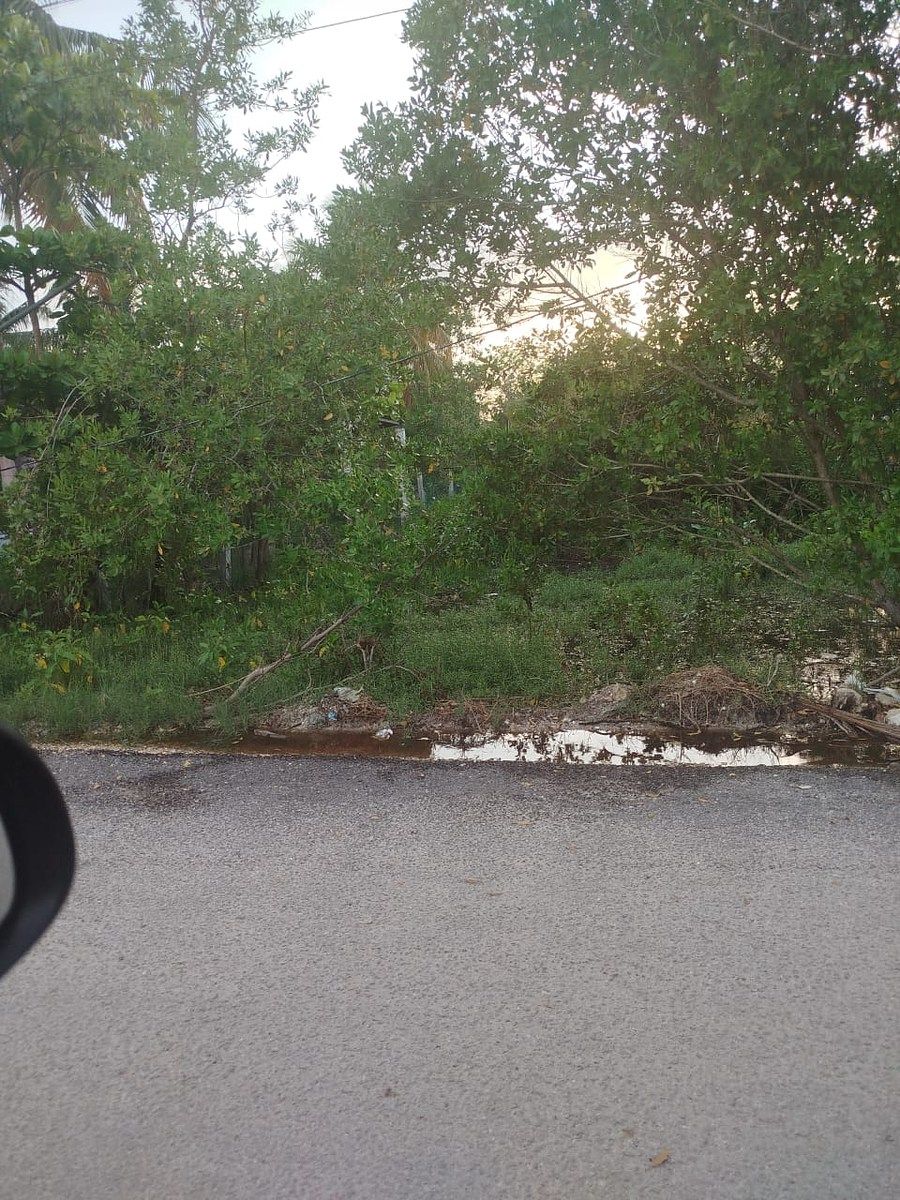 TERRENO EN CELESTÚN YUCATÁN, foto 1 de 11