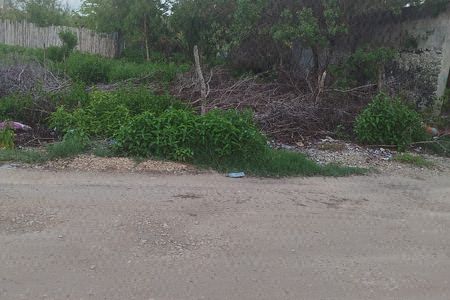 TERRENO EN CELESTÚN YUCATÁN