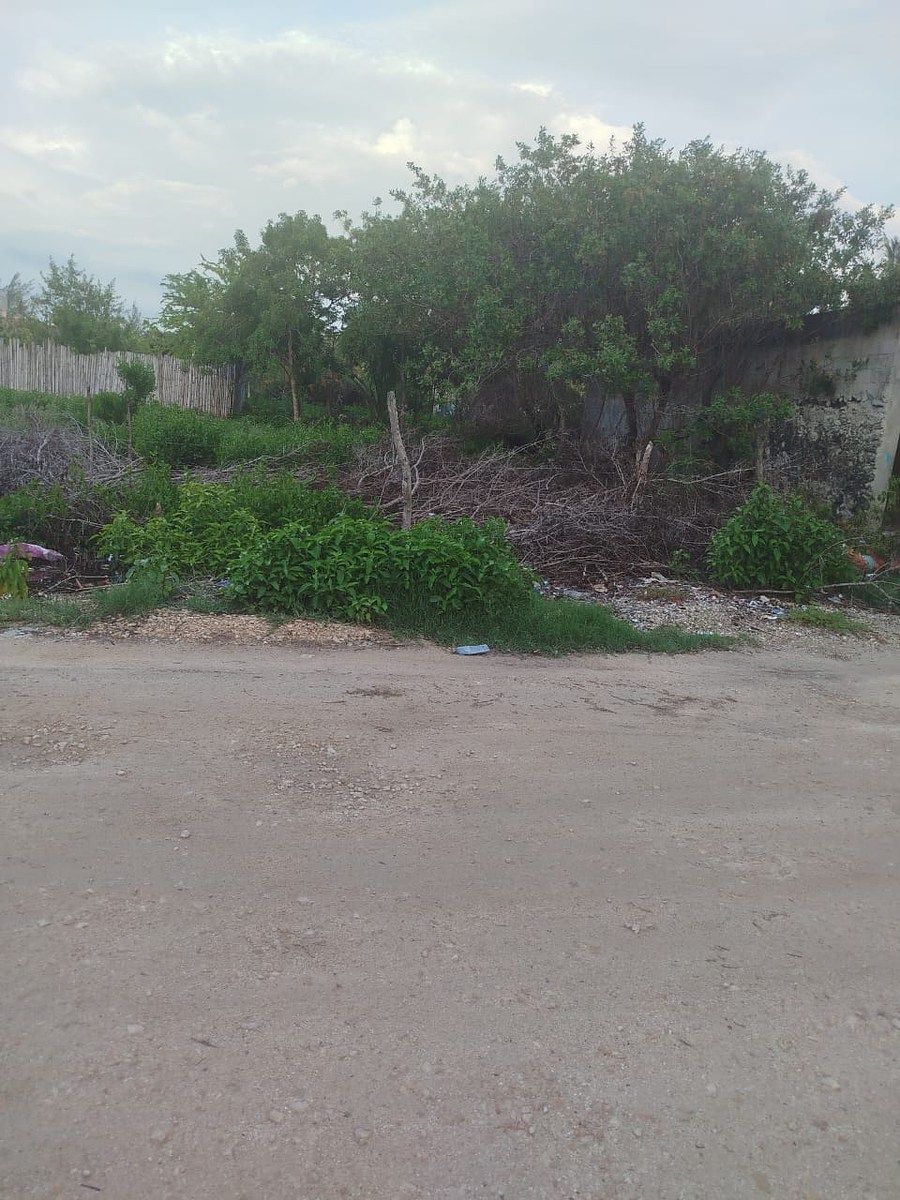 Terreno en Celestun, Celestún, foto 2 de 11