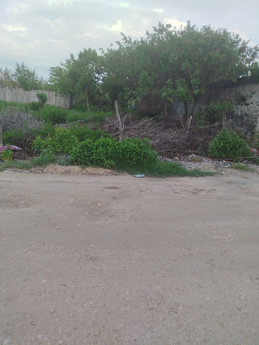 Terreno en Celestun, Celestún, foto 3 de 11