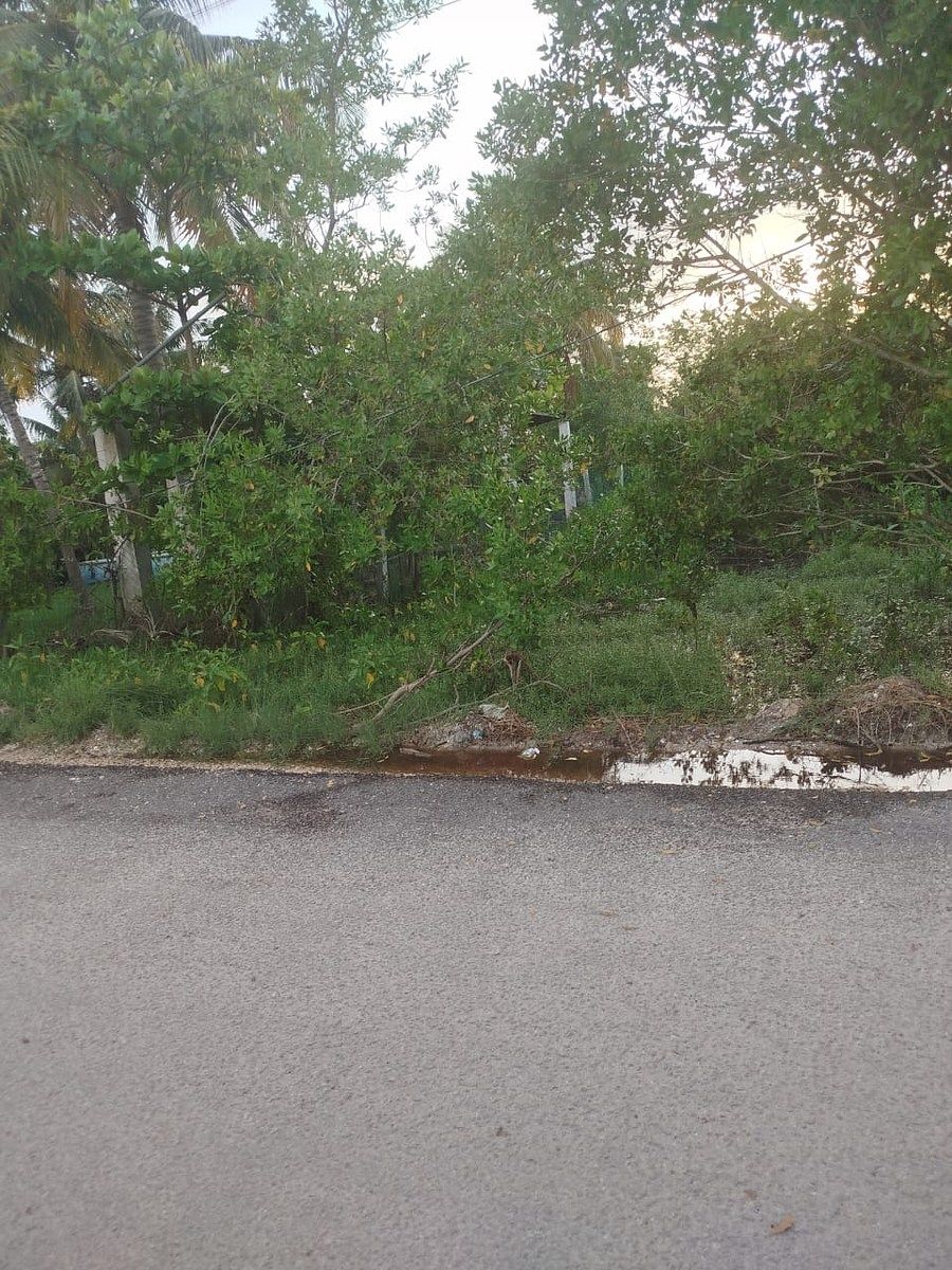 Terreno en Celestun, Celestún, foto 4 de 11