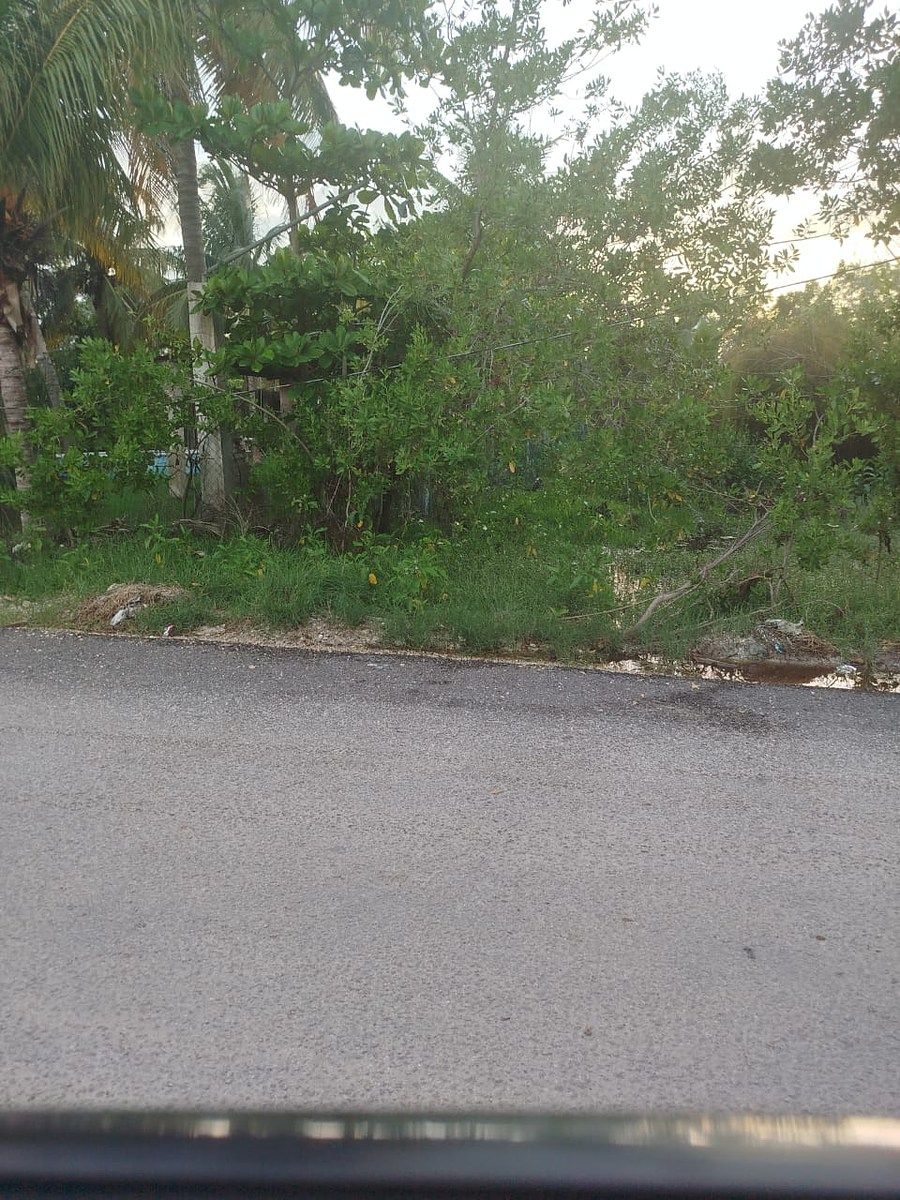 Terreno en Celestun, Celestún, foto 5 de 11